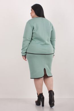 A daily suit with a skirt. Mint.495278361 495278361 photo