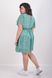 A everyday summer dress with a chiffon. The flower is green.495278310 495278310 photo 4