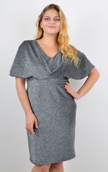 A Plus size dress is festive. Silver.485142758 485142758 photo