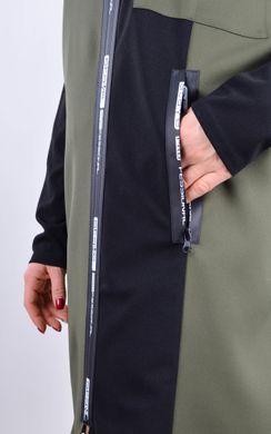 חולצת נשים עם ברק בגדלי פלוס. Olive.485141526 485141526 צילום