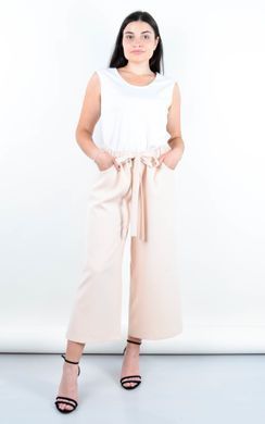 Pantaloni da ufficio pi&ugrave; dimensioni. Powder.485140838 485140838 foto