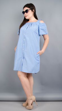 חולצת שמלה יפה בתוספת גודל. כלוב כחול .485131359 485131359 צילום