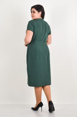 Аронія. Святкова сукня з коротким рукавом. Зелений 495278399 фото