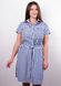 Ірина. Стильна сукня-сорочка великих розмірів. Смуга синя. 485131571 фото 1