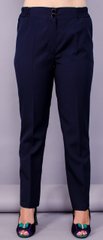 Casual classic trousers. Blue.485130737 485130737 photo